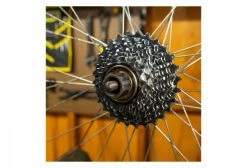 Démonte Roue Libre Multi-Vitesse Pedro's 12-Spline X 23 Mm 11 Démonte Roue Libre Multi-Vitesse Pedro's 12-Spline X 23 Mm -Entretien Réparation VTT Soldes Magasin unnamed file 3553