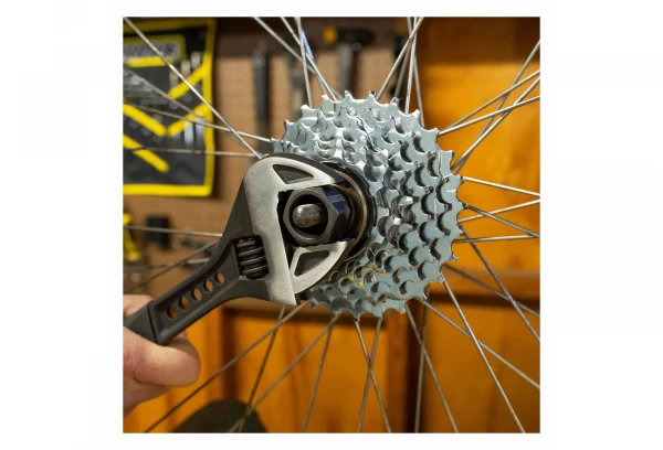 Démonte Roue Libre Multi-Vitesse Pedro's 12-Spline X 23 Mm 7 Démonte Roue Libre Multi-Vitesse Pedro's 12-Spline X 23 Mm – Image 5